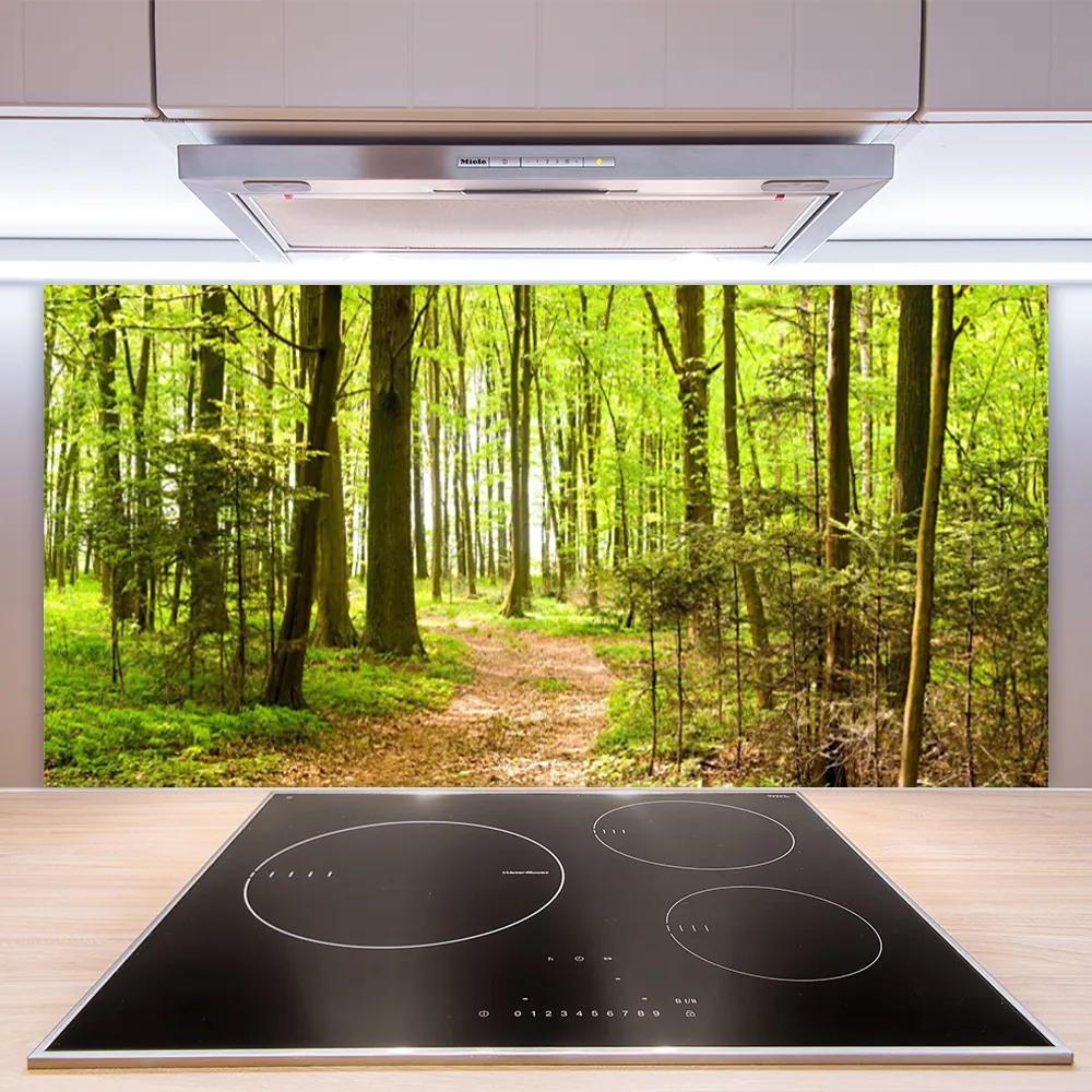 Schienali cucina Foresta del percorso della natura 100x50 cm