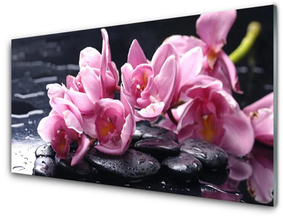 Pannello paraschizzi cucina Pianta dell'orchidea del fiore 100x50 cm