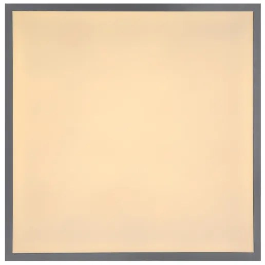 Globo 416080D2 - Plafoniera LED DORO LED/24W/230V