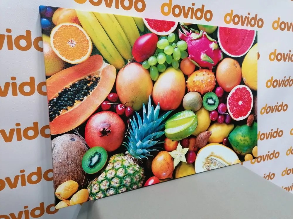 Stampa su tela – Frutta tropicale