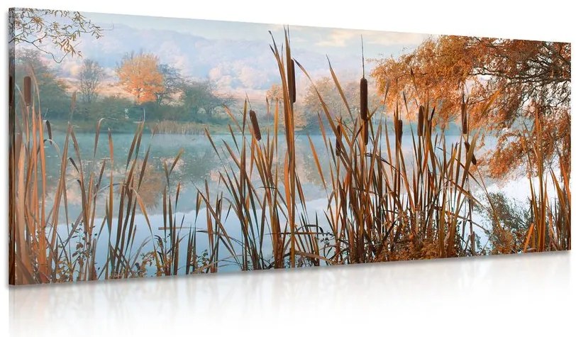 Quadro su tela – Fiume nel mezzo della natura autunnale