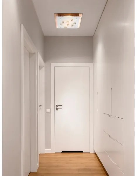 Globo 40412-2 - Plafoniera AYANA 2xE27/40W/230V