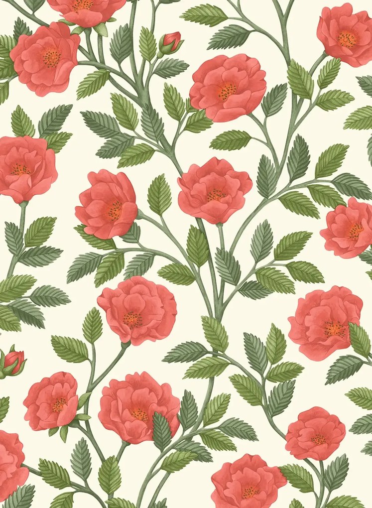 Cole & Son Carta da parati Hampton Roses - 118/7013
