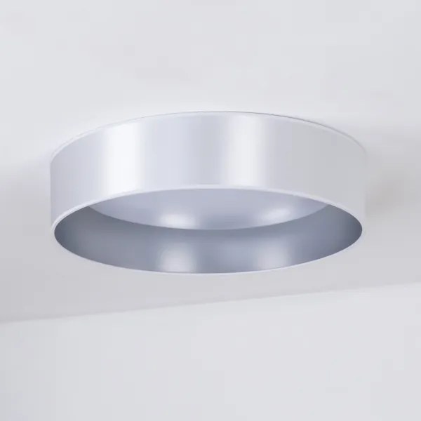 Duolla - Plafoniera LED ROLLER LED/24W/230V diametro 45 cm argento