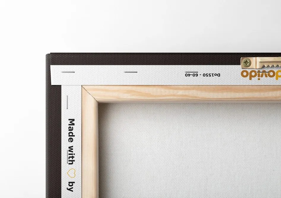Quadro su tela – Donna velata
