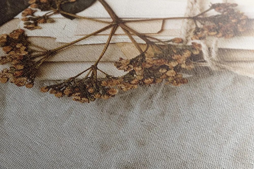 Quadro su tela – Collezione di foglie antiche