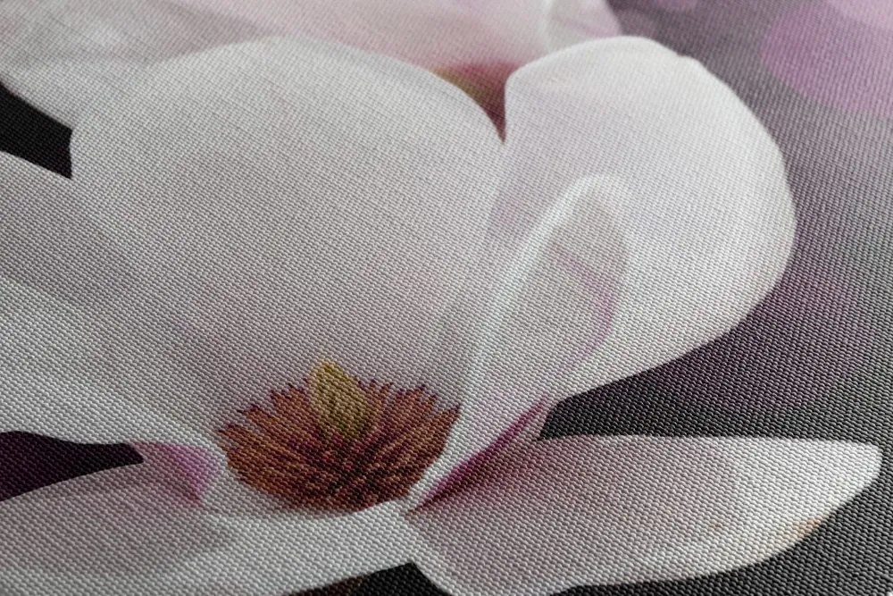 Quadro su tela – Fiore di magnolia su sfondo astratto