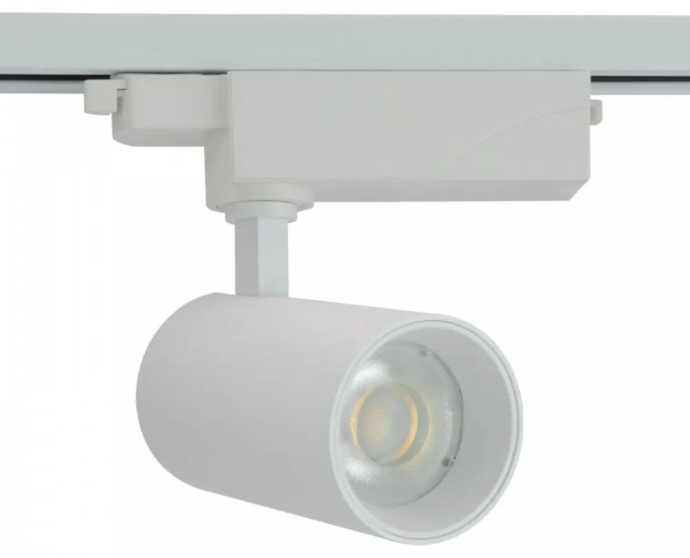 Faro LED 20W, Monofase, 60°, 120lm/W, CRI92, no Flickering - BRIDGELUX LED Colore Bianco Freddo 6.000K