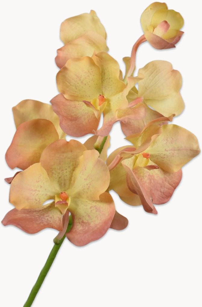 Set di 2 fiori artificiali fatti a mano Vanda