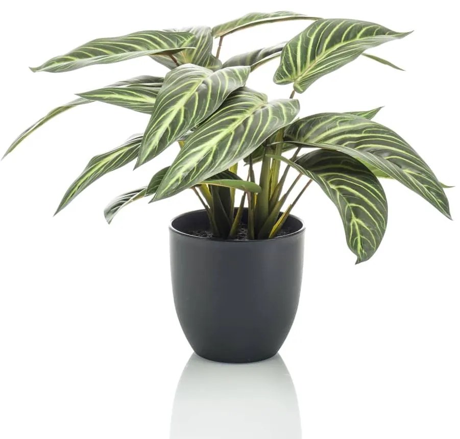 Calathea Artificiale Zebrina 38 Cm İn Vaso /