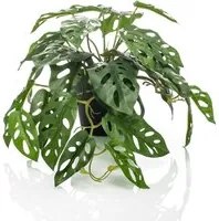 Emerald Cespuglio Artificiale di Monstera Adansonii 55 cm in Vasocod mxl 71881