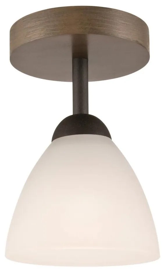 Lampadario a soffitto ADRIANO 1xE27/60W/230V