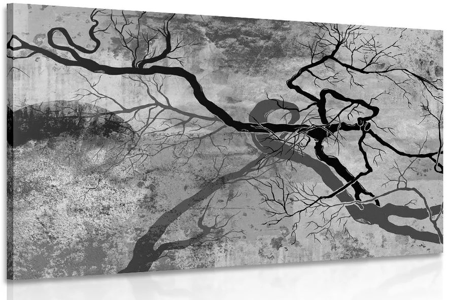 Stampa su tela – Alberi surrealisti in bianco e nero