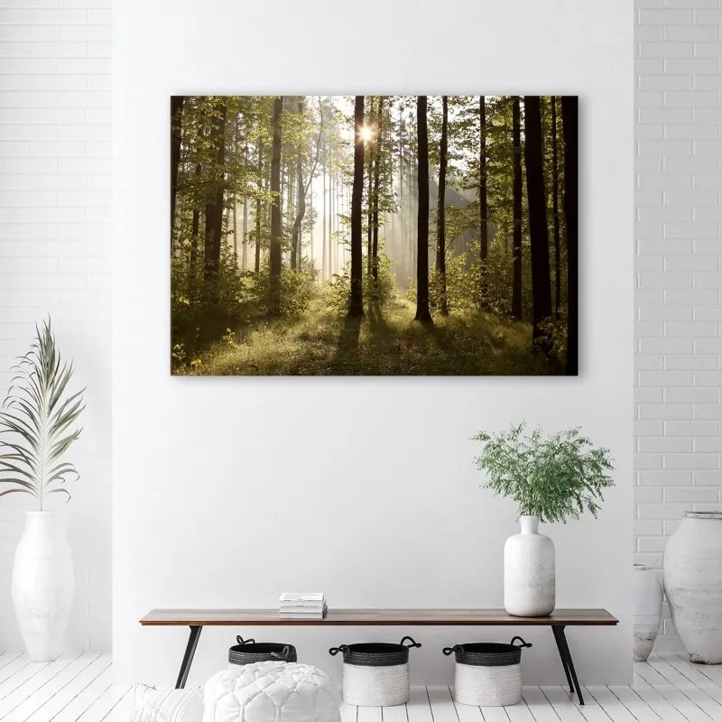 Quadro su tela, Mattina nella foresta  Dimensioni 120x80