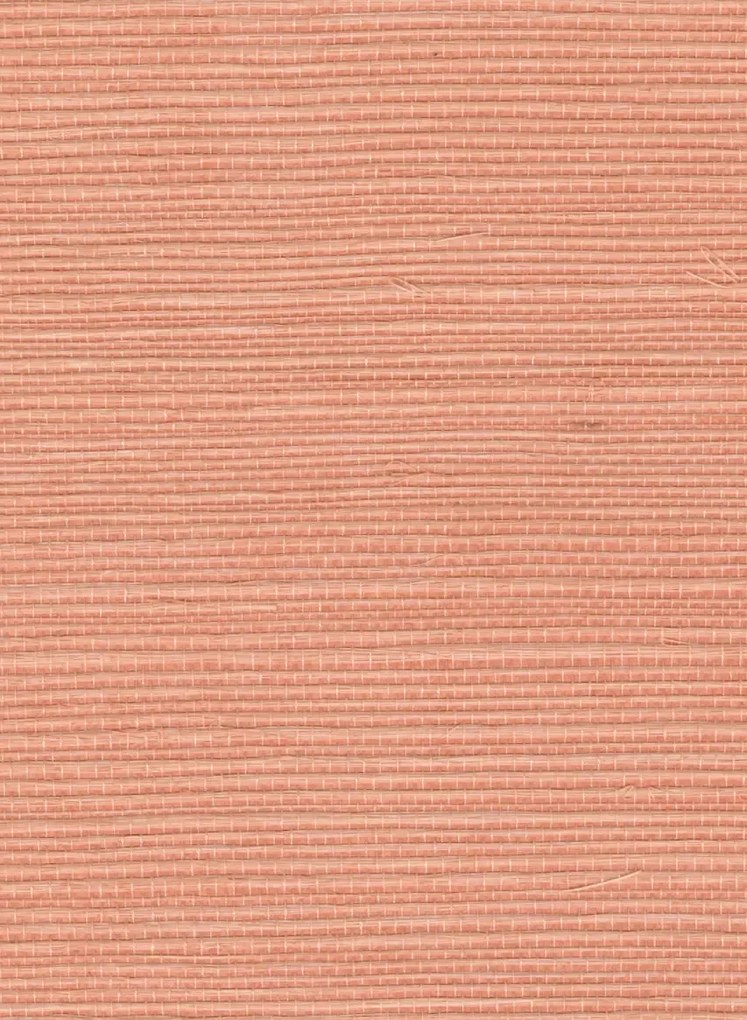 Élitis Tapete Sisal - RM 1069 57