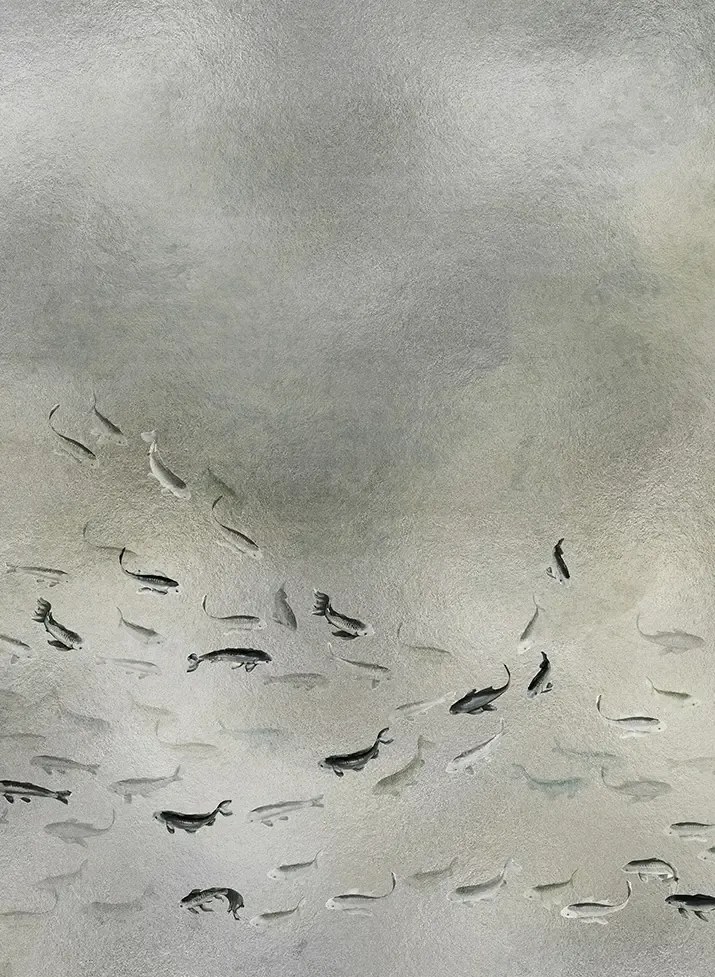 Coordonne Carta da parati panoramica Koi Metallics - Silver