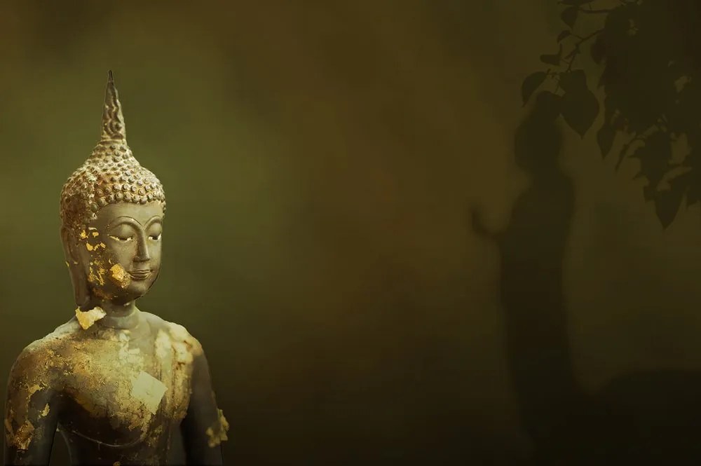 Carta da parati – Buddha e il suo riflesso