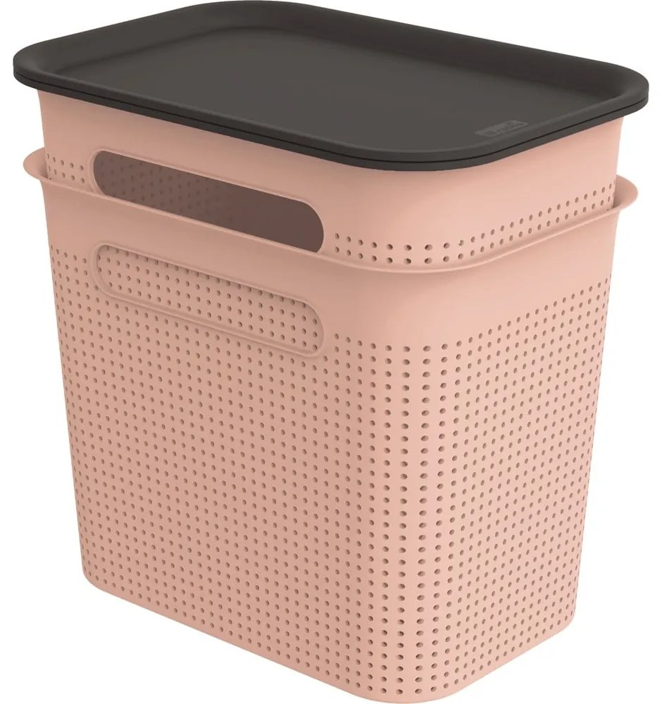 Set di 2 contenitori in plastica rosa chiaro con coperchio 18,5x27x26 cm Brisen - Rotho