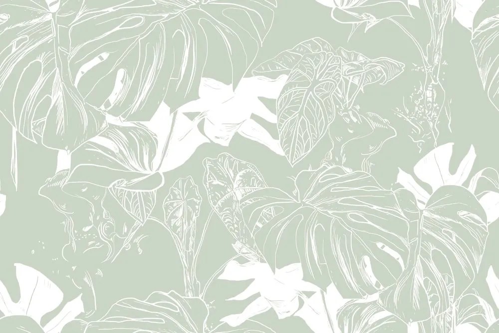 Carta da parati – Monstera insolita