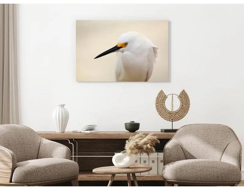 Quadro Snowy Egret (1 Part) Wide