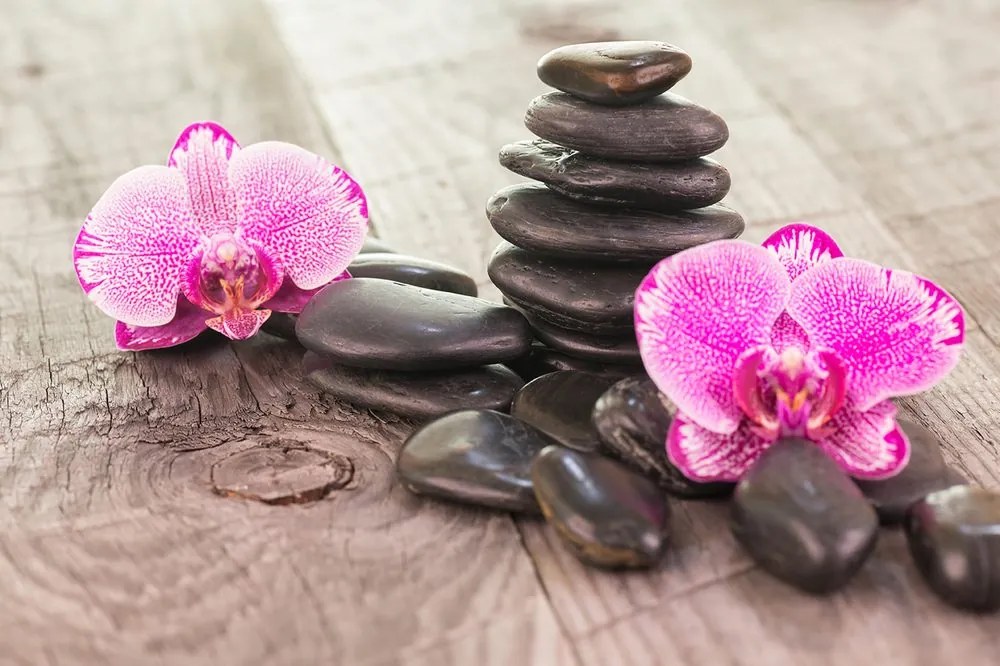 Carta da parati autoadesiva – Orchidea e pietre Zen su legno