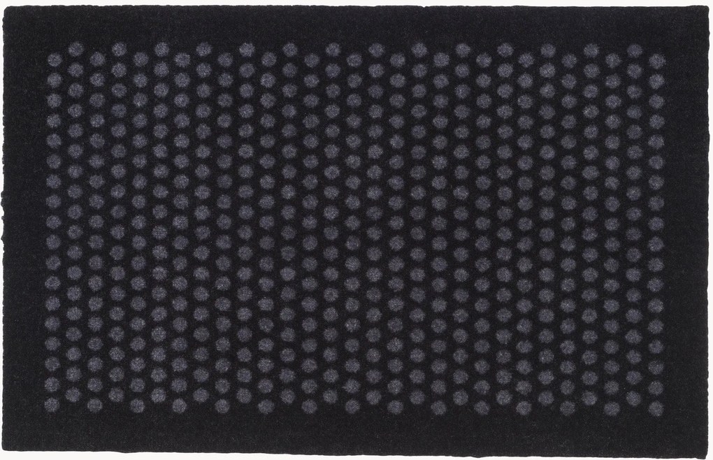 Zerbino Dot