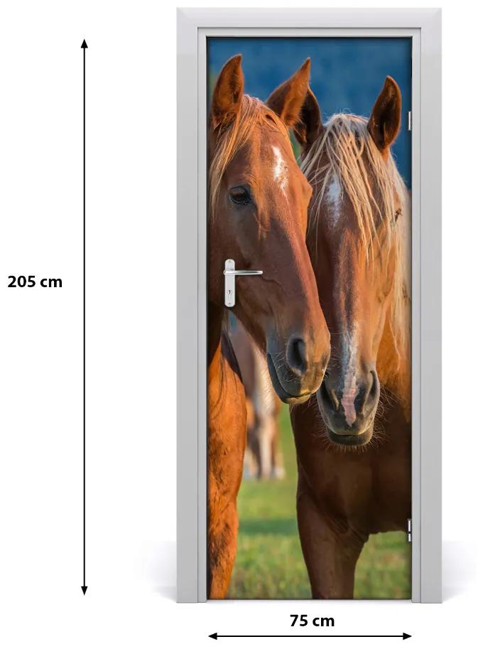 Adesivo per porta Due cavalli 75x205 cm