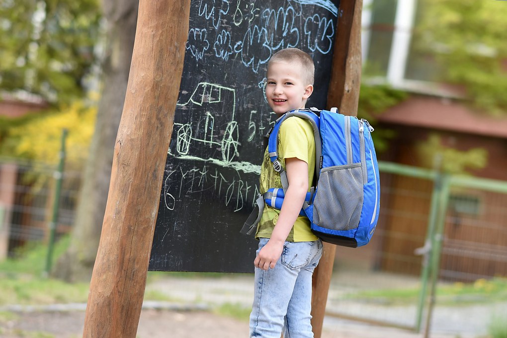 Zaino scuola BOLL SCHOOL MATE 20 l Crabs - dutchblue