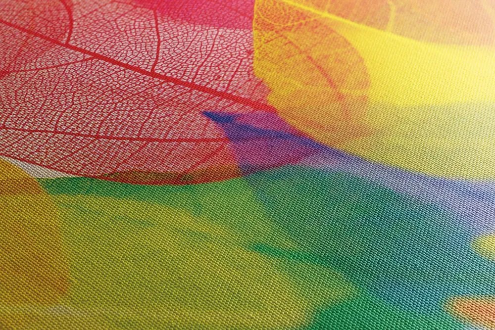 Quadro su tela – Foglie in colori autunnali