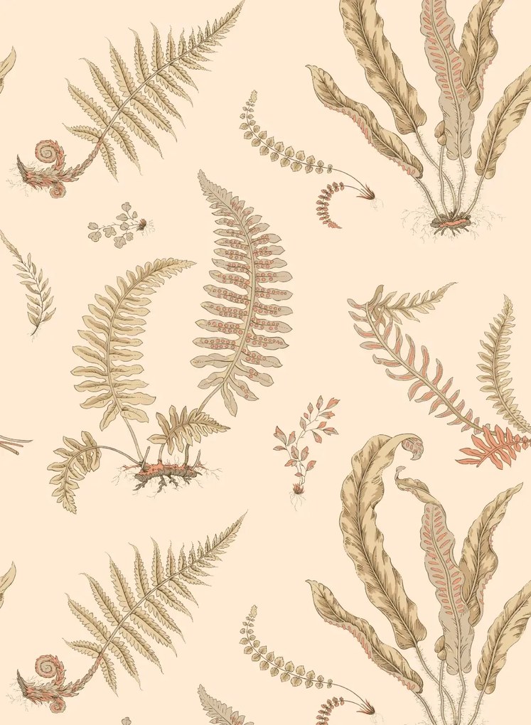 GP & J Baker Carta da parati Ferns - Parchment