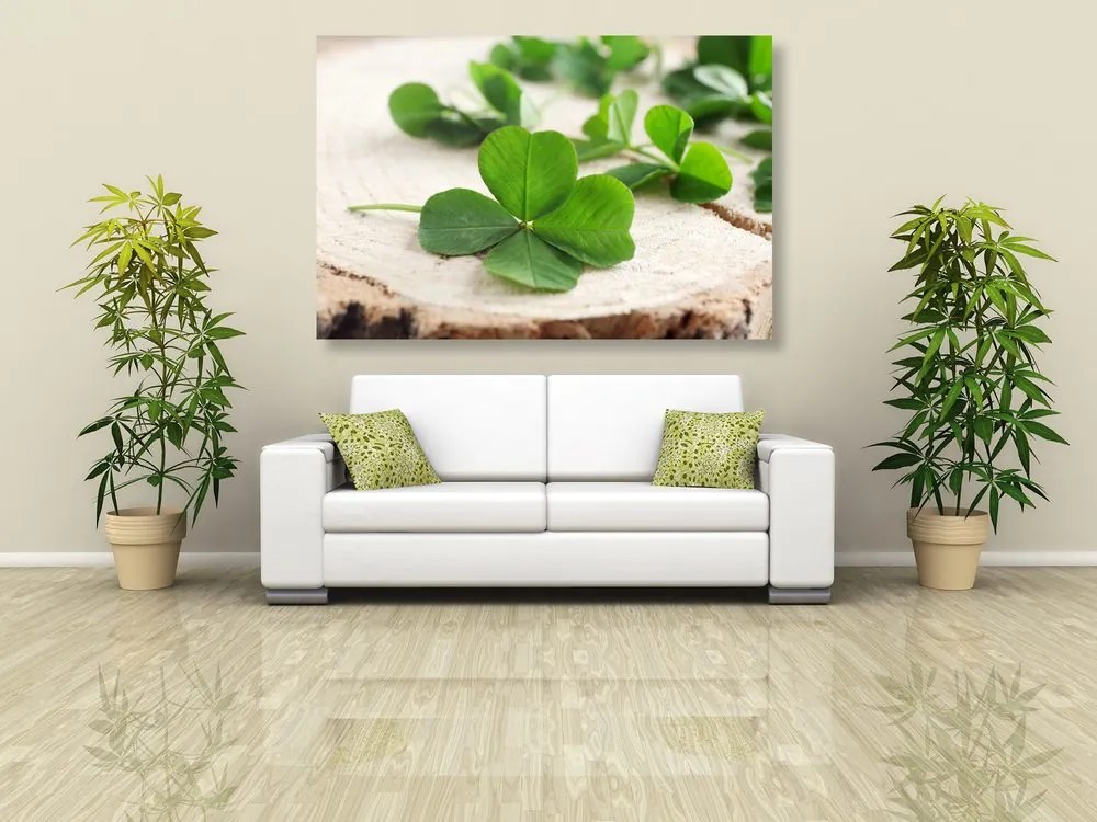 Quadro su tela – Quadrifogli verdi