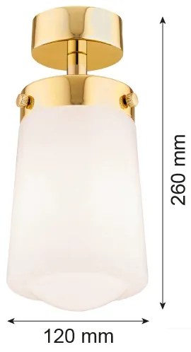 Argon 8005 - Surface-mounted lampadario PASADENA 1xE27/15W/230V oro/bianco