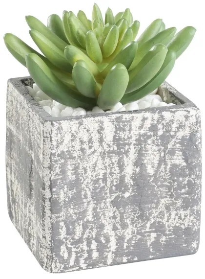 Eglo 428007 - Pianta artificiale CHITOSE 12x7,5 cm in vaso, succulenta