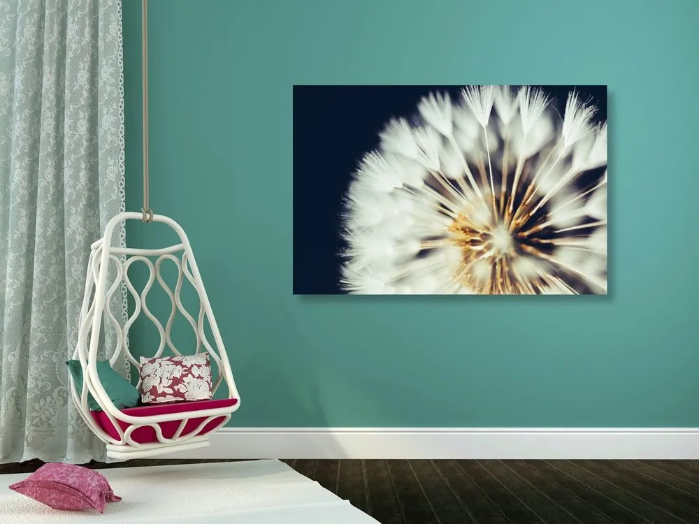 Quadro su tela – Dente di leone su sfondo scuro