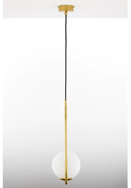 Jupiter 2042 - Lampadario a sospensione con filo IGON 1xE14/40W/230V oro