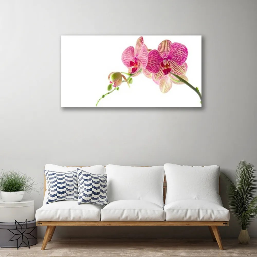 Quadro su tela I fiori della pianta 100x50 cm