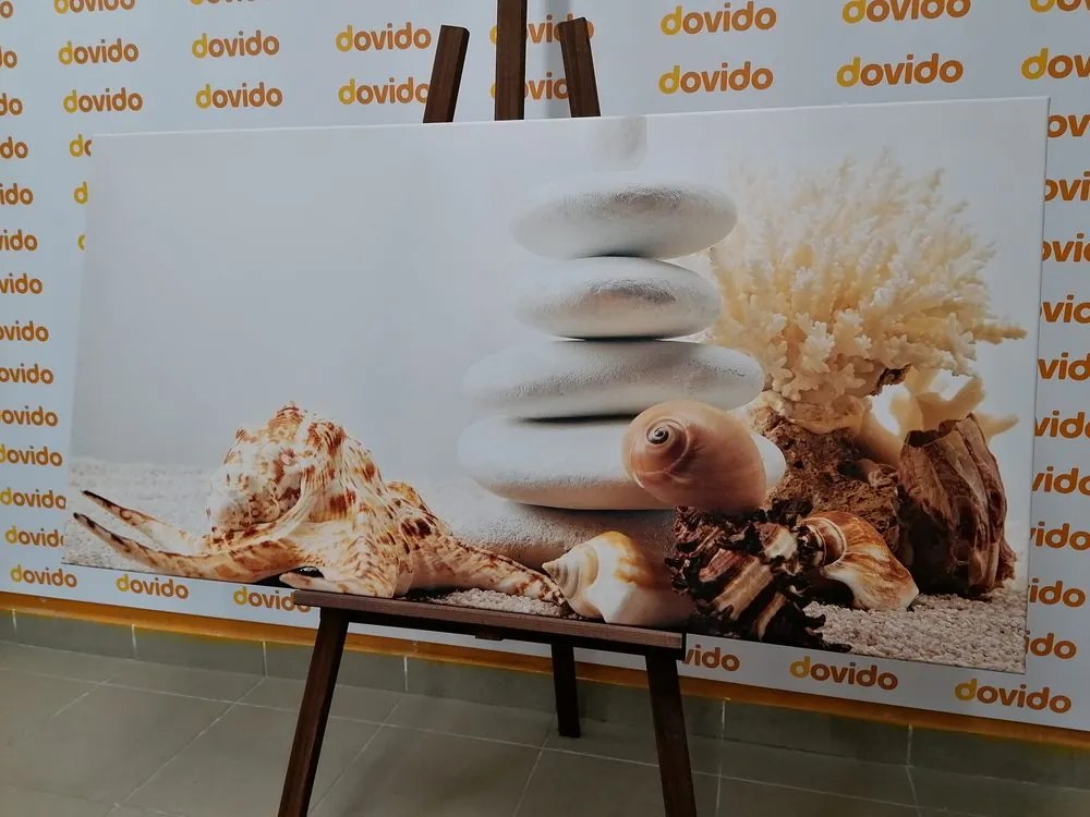 Quadro su tela – Pietre Zen con conchiglie