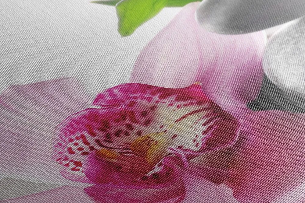 Stampa su tela – Natura morta armoniosa