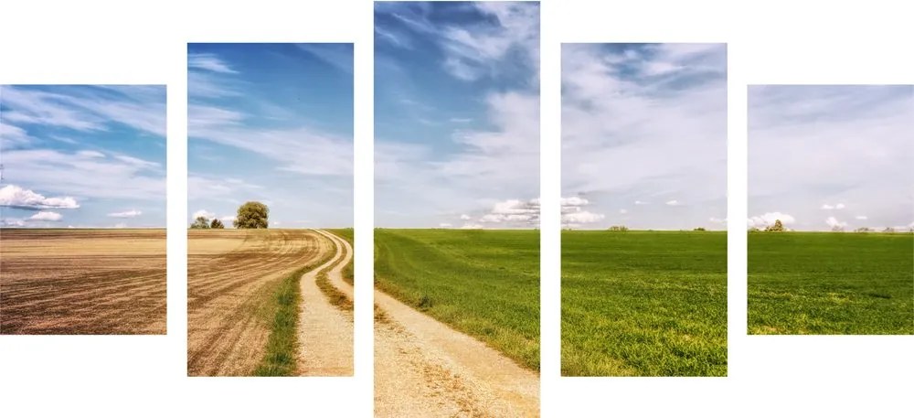 Quadri 5 pezzi – Paesaggio incantevole