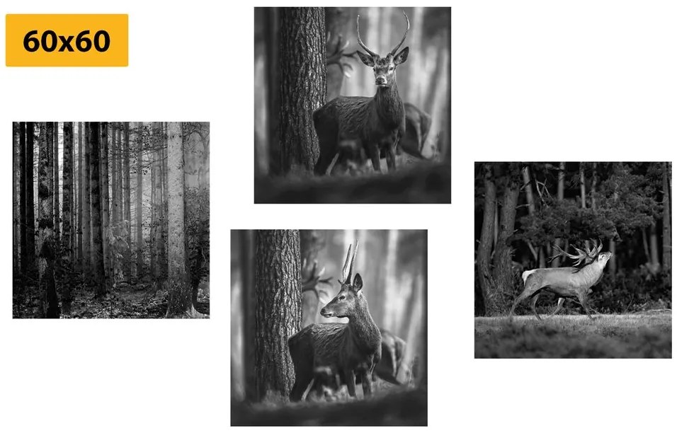 Set di quadri – Animali del bosco in bianco e nero