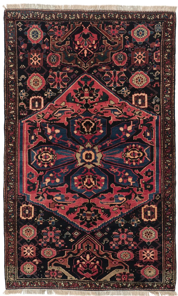 Bakhtiar Tappeto persiano 150 x 240 (Iran) Annodato A Mano