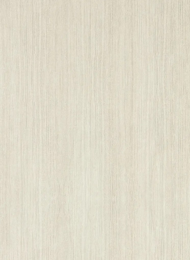 Harlequin Carta da parati Wood Veneer - Silver Birch