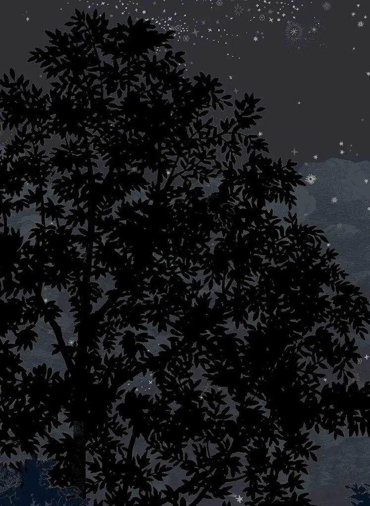 Isidore Leroy Carta da parati panoramica Eclipse Nocturne - Panel C