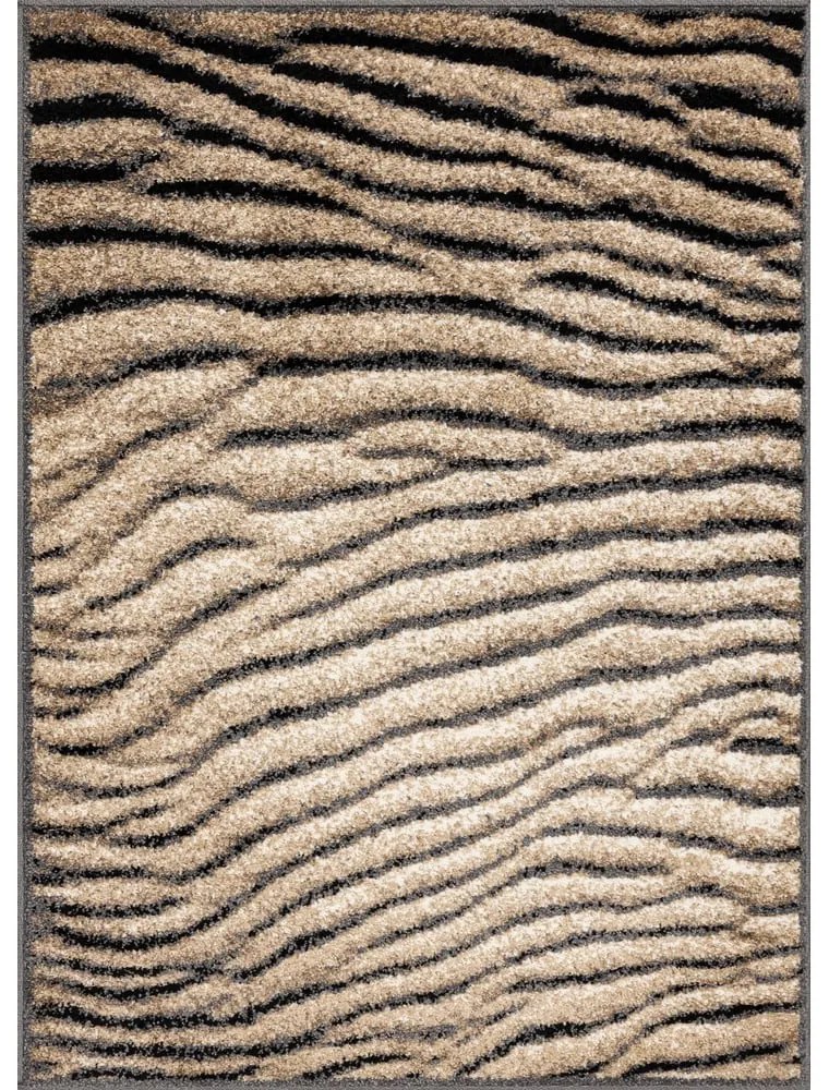 Tappeto marrone 160x220 cm Avanti - FD