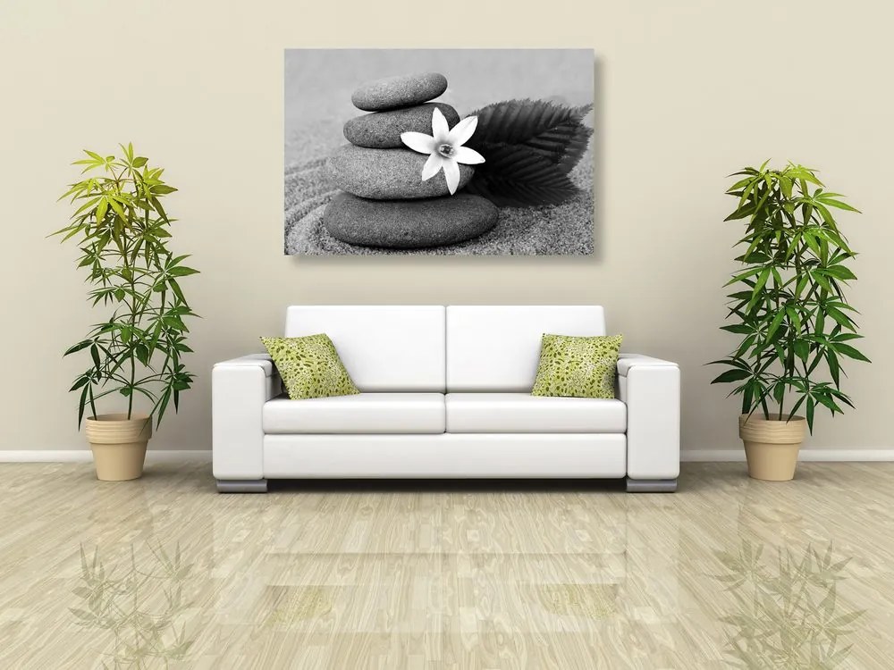 Stampa su tela – Fiore e pietre nella sabbia in bianco e nero