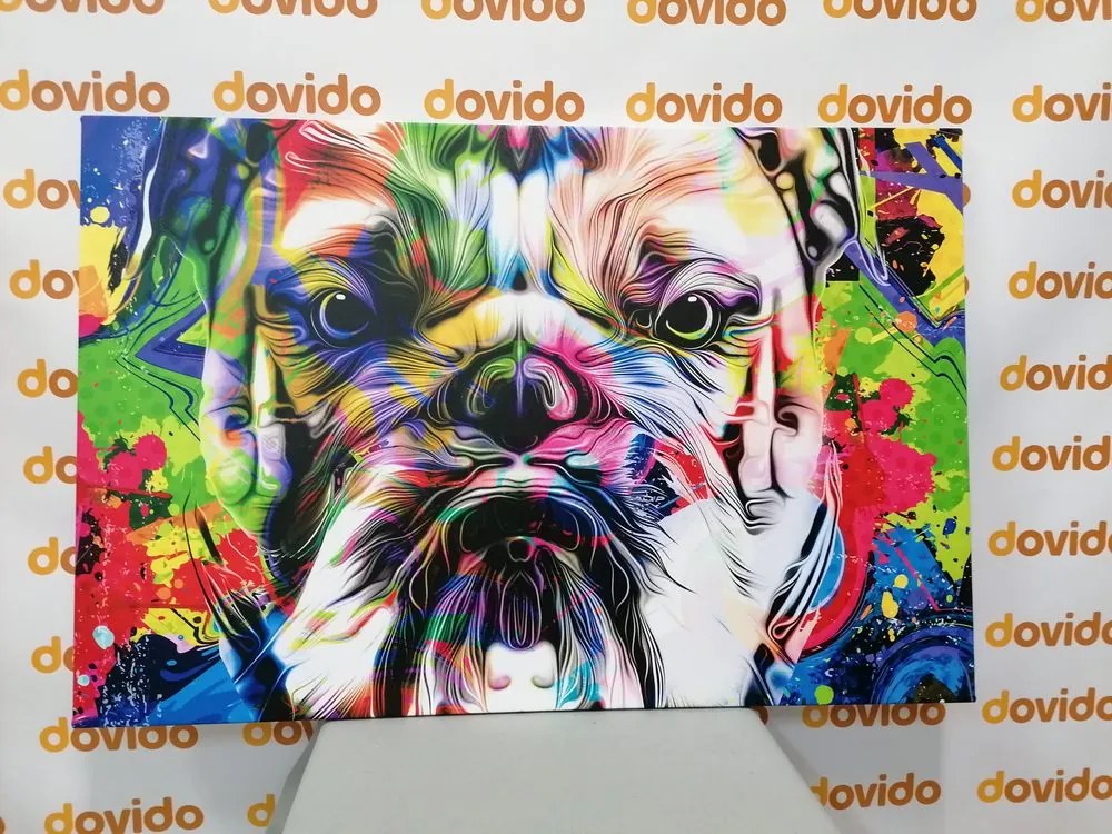 Quadro su tela – Bulldog pop-art