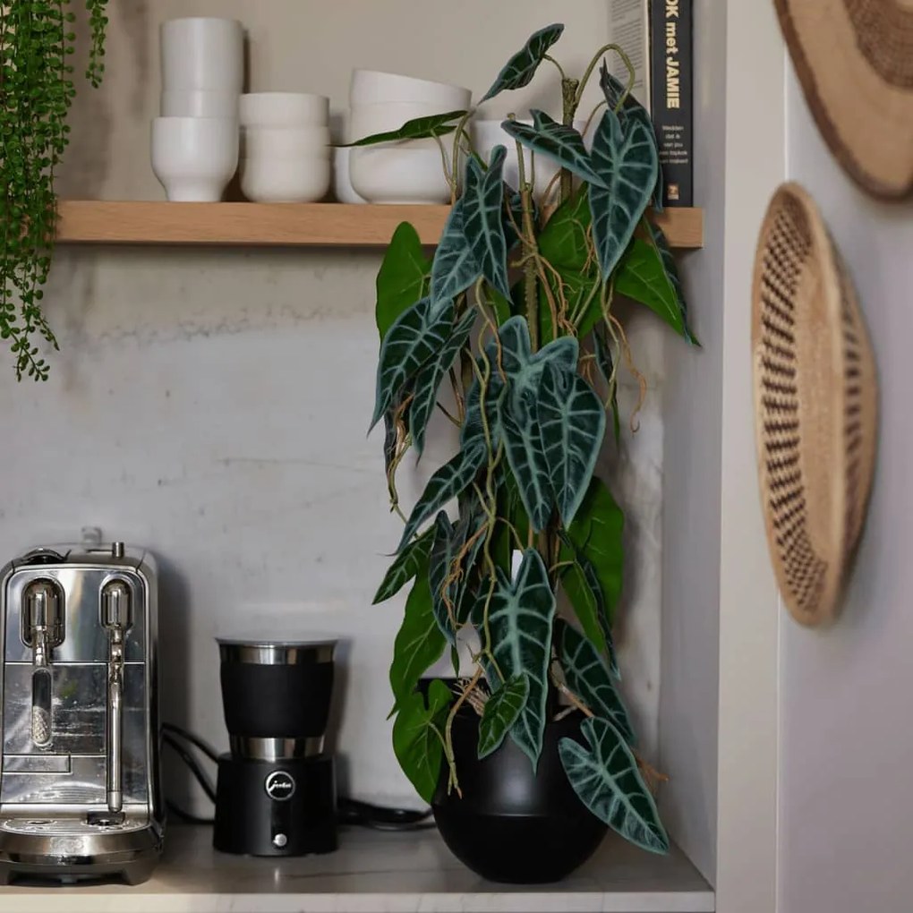 Alocasia Artificiale 75 Cm İn Vaso /