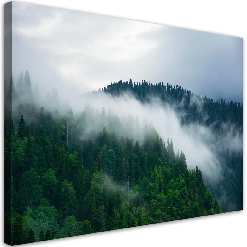 Quadro su tela, Foresta nella nebbia  Dimensioni 100x70