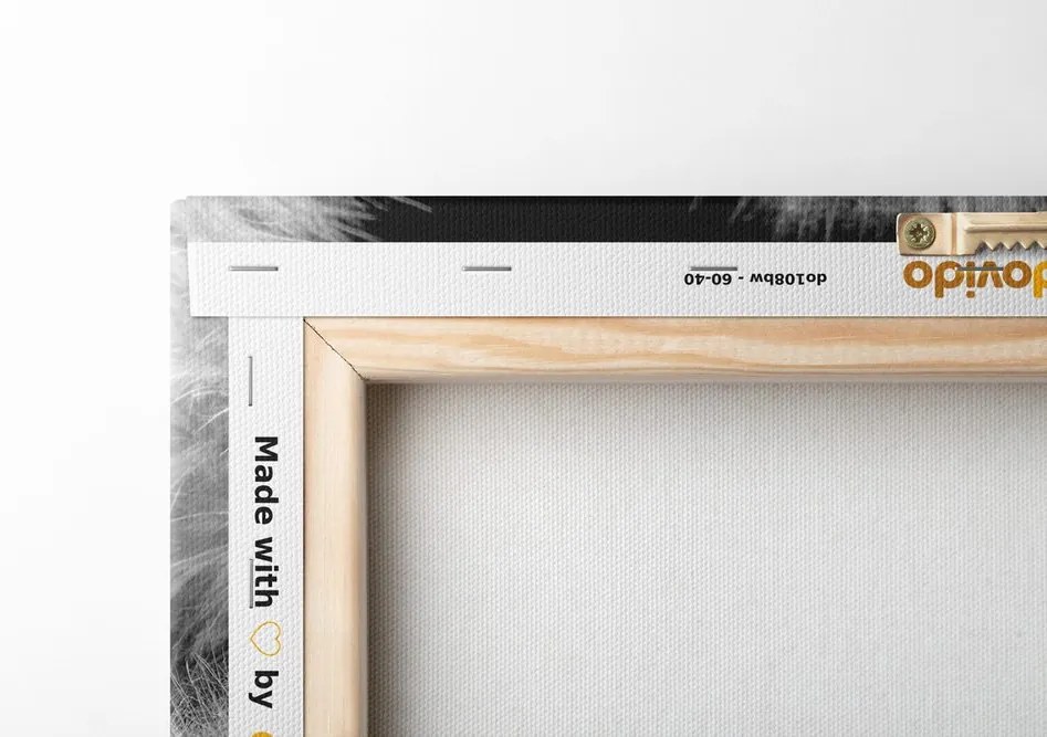 Quadro su tela – Dente di leone in bianco e nero