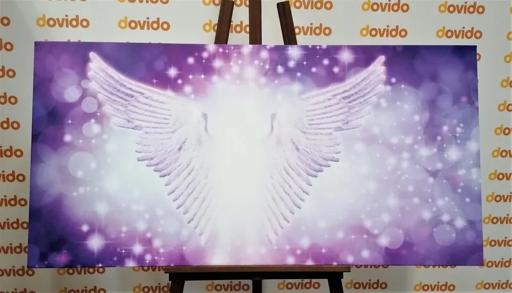 Quadro su tela – Ali con elementi astratti